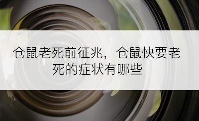 仓鼠老死前征兆，仓鼠快要老死的症状有哪些