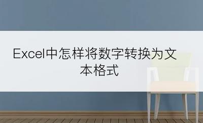 Excel中怎样将数字转换为文本格式