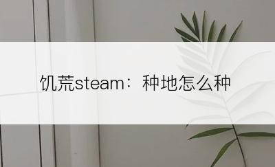 饥荒steam：种地怎么种