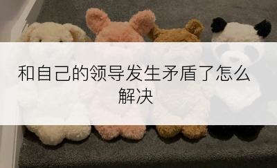 和自己的领导发生矛盾了怎么解决