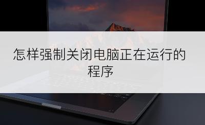 怎样强制关闭电脑正在运行的程序