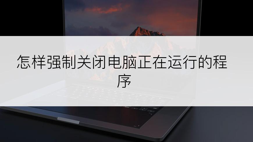 怎样强制关闭电脑正在运行的程序