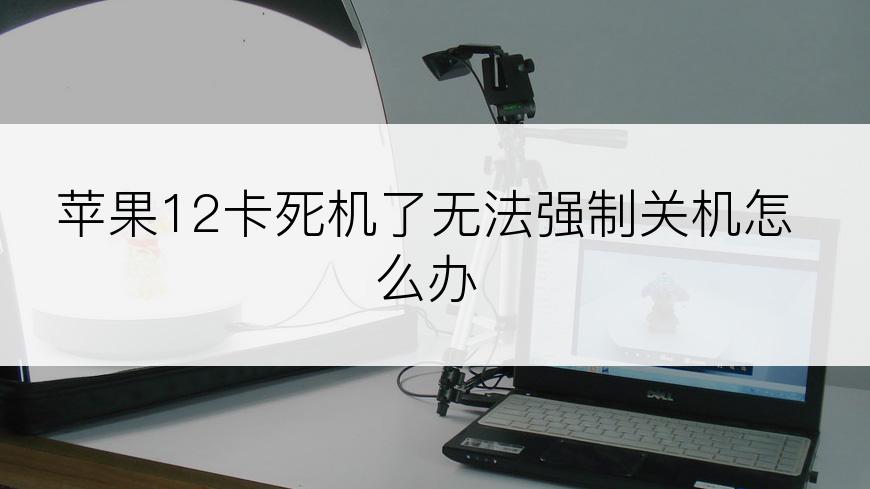 苹果12卡死机了无法强制关机怎么办