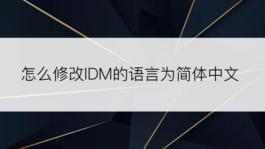 怎么修改IDM的语言为简体中文