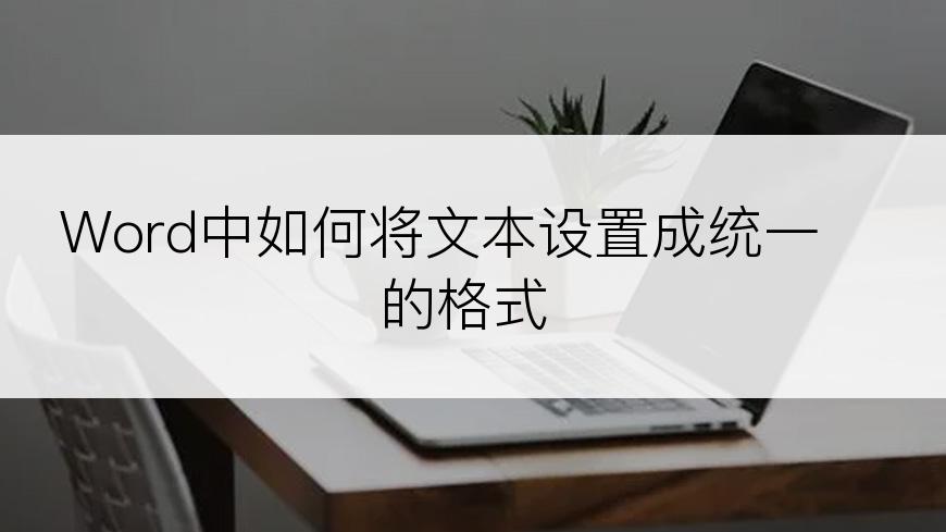 Word中如何将文本设置成统一的格式