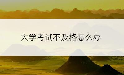 大学考试不及格怎么办