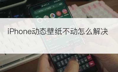 iPhone动态壁纸不动怎么解决