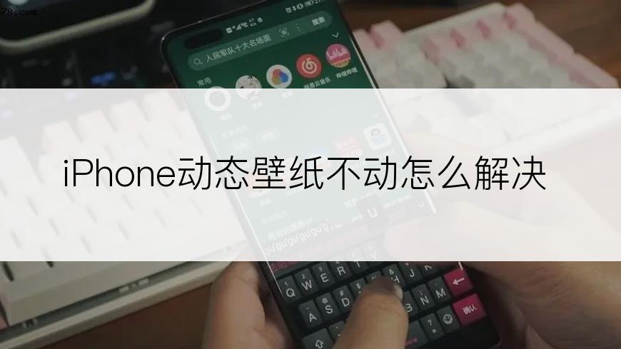 iPhone动态壁纸不动怎么解决