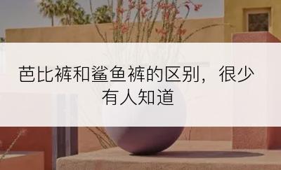 芭比裤和鲨鱼裤的区别，很少有人知道