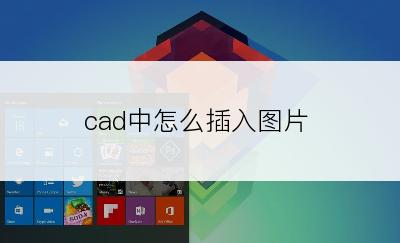 cad中怎么插入图片