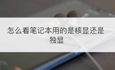 怎么看笔记本用的是核显还是独显