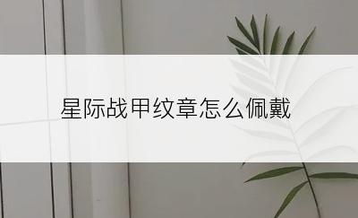 星际战甲纹章怎么佩戴