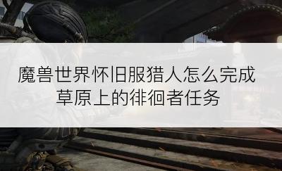 魔兽世界怀旧服猎人怎么完成草原上的徘徊者任务