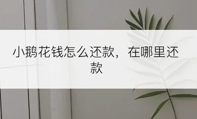 小鹅花钱怎么还款，在哪里还款​