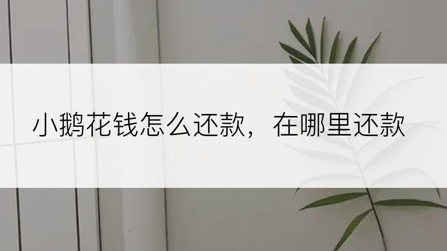 小鹅花钱怎么还款，在哪里还款​