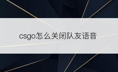 csgo怎么关闭队友语音