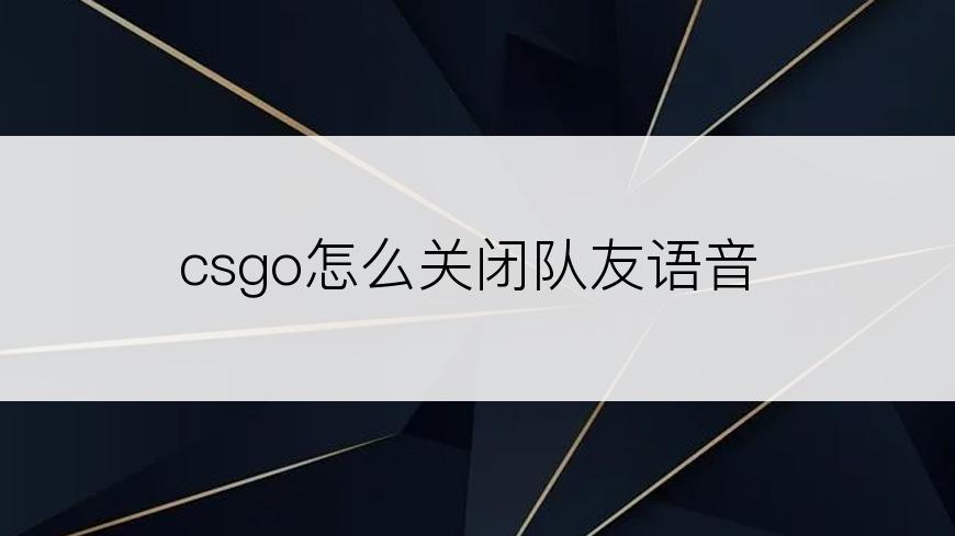 csgo怎么关闭队友语音