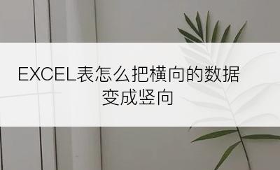 EXCEL表怎么把横向的数据变成竖向