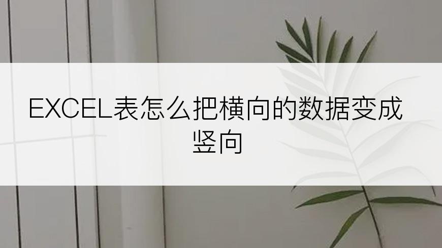 EXCEL表怎么把横向的数据变成竖向