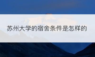 苏州大学的宿舍条件是怎样的