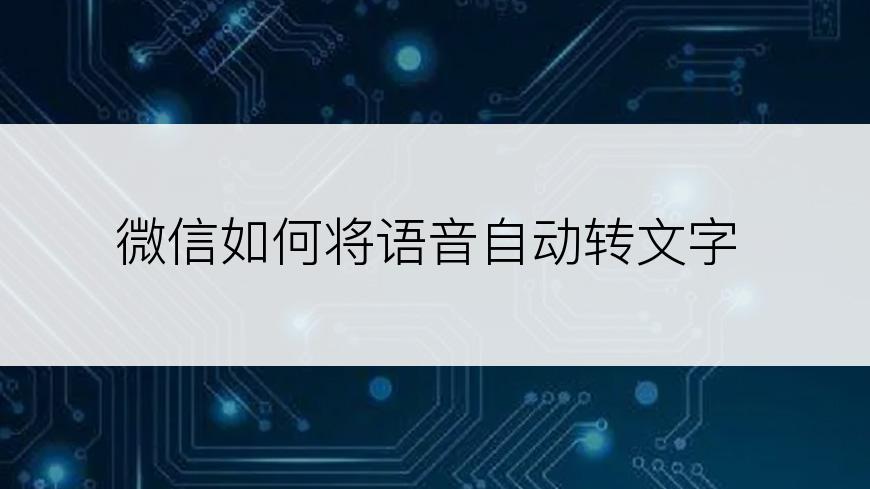 微信如何将语音自动转文字