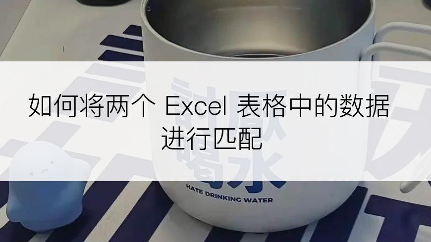 如何将两个 Excel 表格中的数据进行匹配