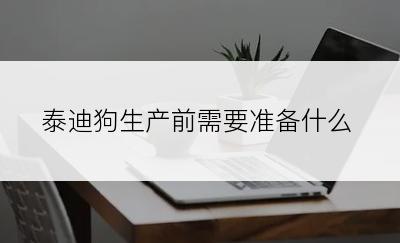 泰迪狗生产前需要准备什么