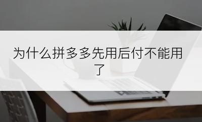 为什么拼多多先用后付不能用了