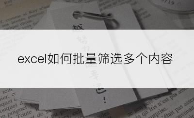 excel如何批量筛选多个内容