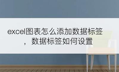 excel图表怎么添加数据标签，数据标签如何设置