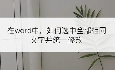 在word中，如何选中全部相同文字并统一修改