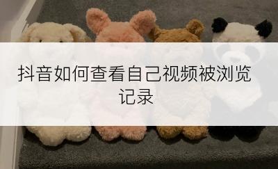 抖音如何查看自己视频被浏览记录