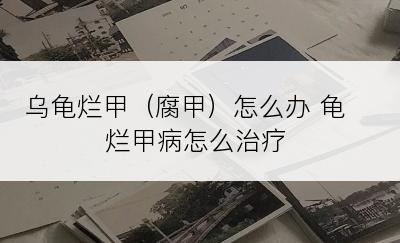 乌龟烂甲（腐甲）怎么办 龟烂甲病怎么治疗