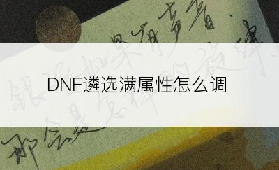 DNF遴选满属性怎么调