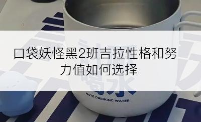 口袋妖怪黑2班吉拉性格和努力值如何选择