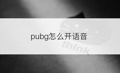 pubg怎么开语音