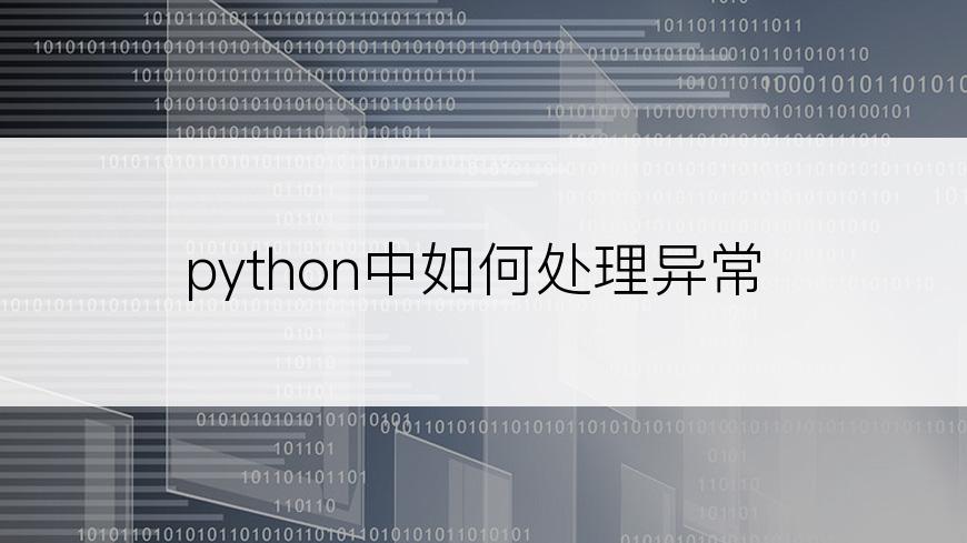 python中如何处理异常