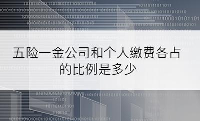 五险一金公司和个人缴费各占的比例是多少