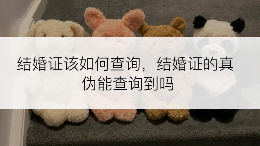 结婚证该如何查询，结婚证的真伪能查询到吗