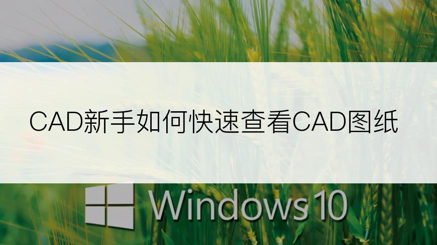 CAD新手如何快速查看CAD图纸