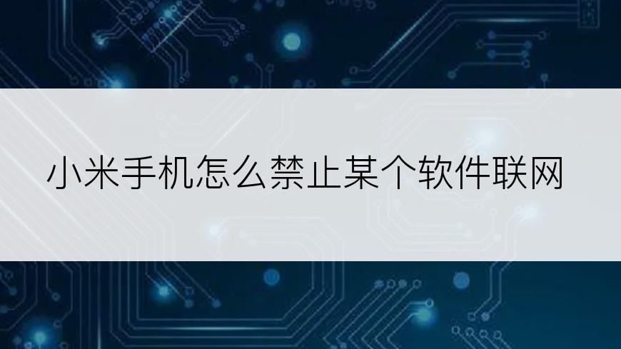 小米手机怎么禁止某个软件联网