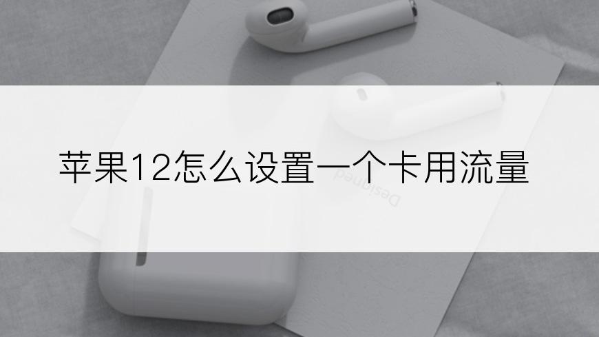 苹果12怎么设置一个卡用流量