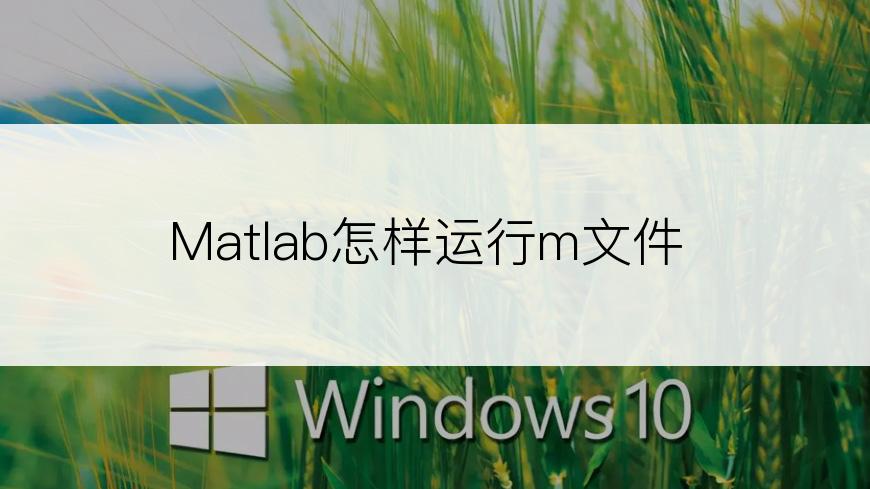 Matlab怎样运行m文件