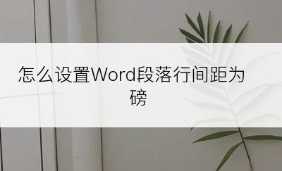 怎么设置Word段落行间距为磅