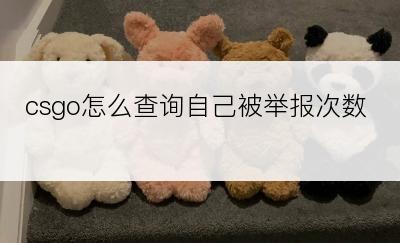 csgo怎么查询自己被举报次数