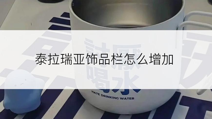 泰拉瑞亚饰品栏怎么增加