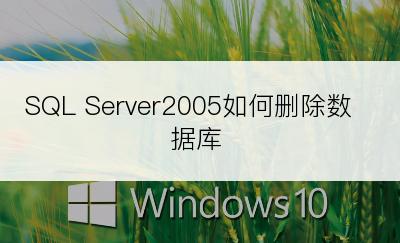 SQL Server2005如何删除数据库