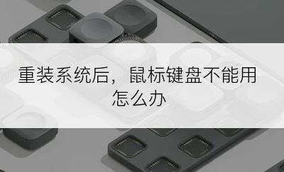 重装系统后，鼠标键盘不能用怎么办