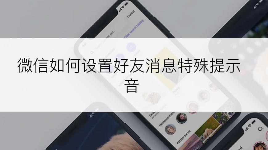 微信如何设置好友消息特殊提示音