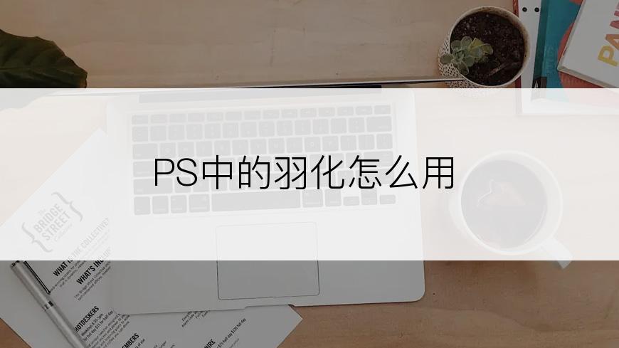 PS中的羽化怎么用